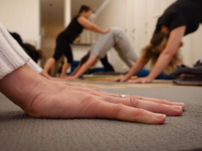 Cycle d&rsquo;initiation au yoga Iyengar